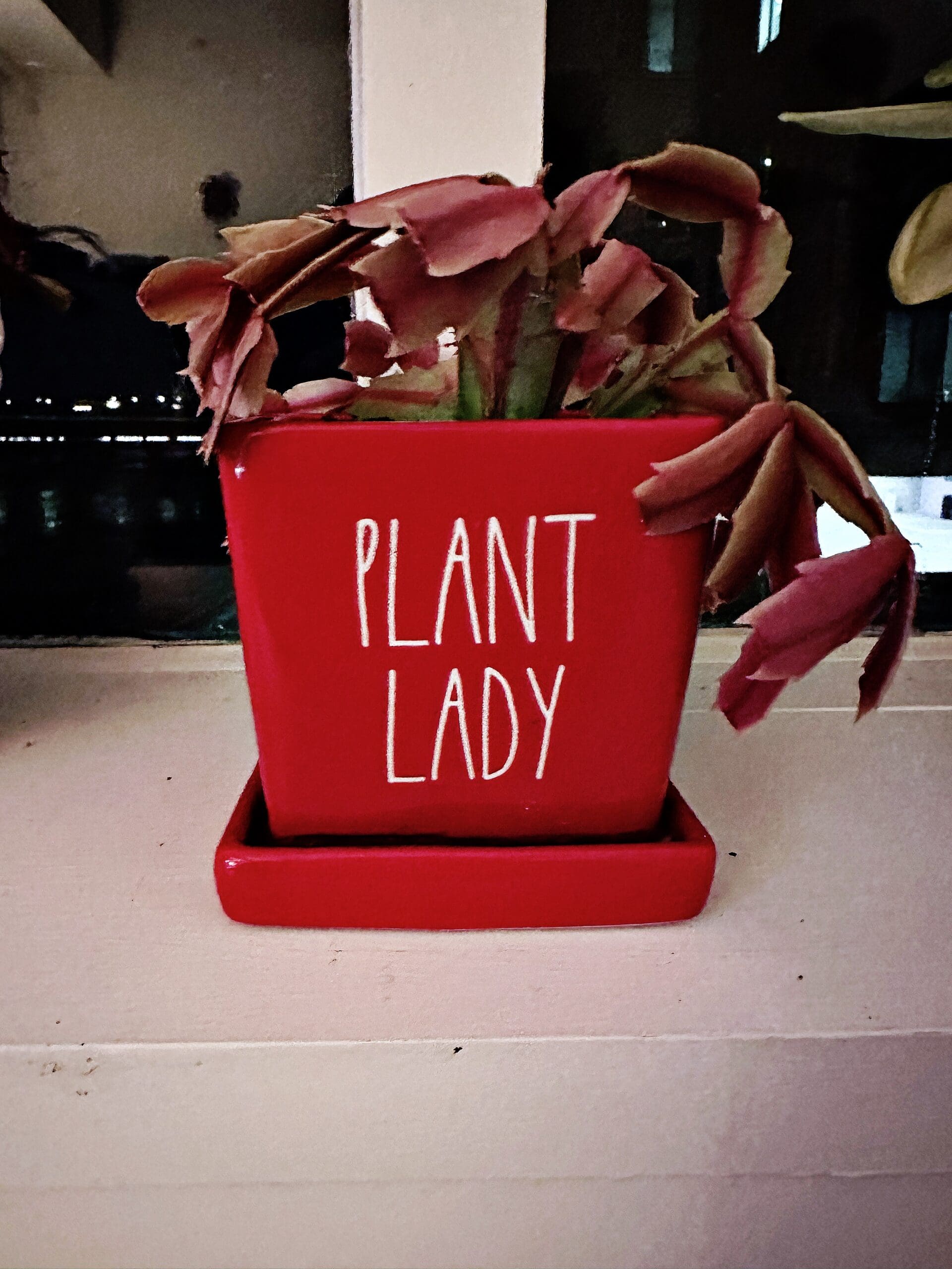 The Plant Lady for Home Decor